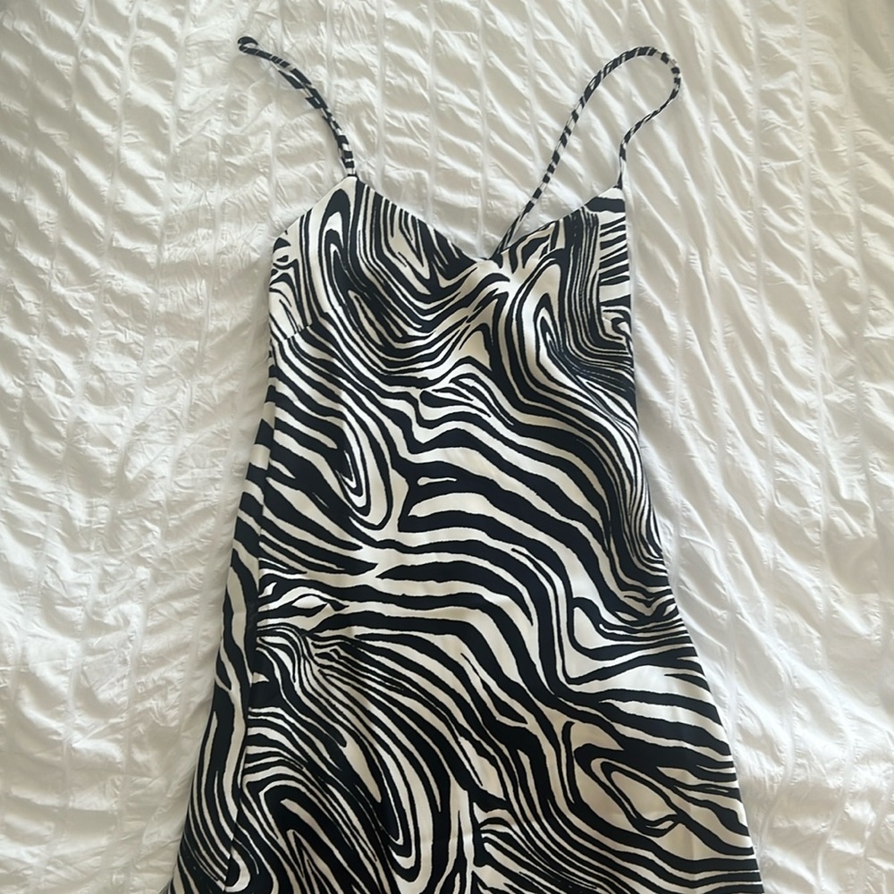 Zebra black and white mini dress